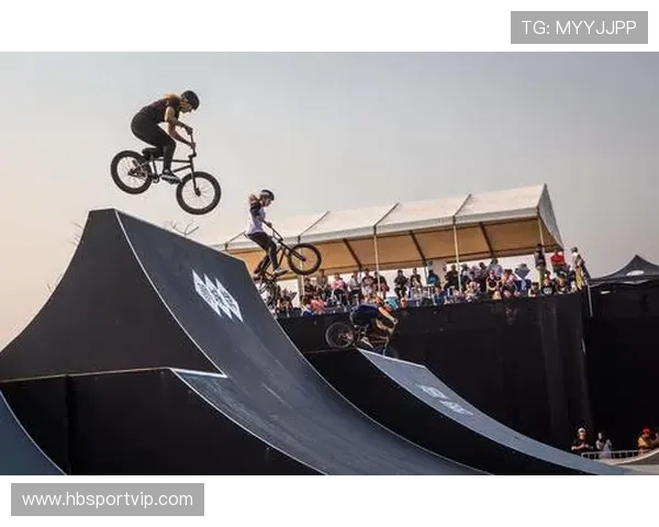 成都极限运动队的意识探讨与极限运动文化的融合与发展