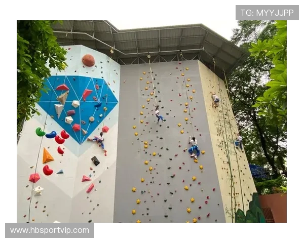 成都攀岩队的意识探讨与发展路径分析攀岩运动的未来展望