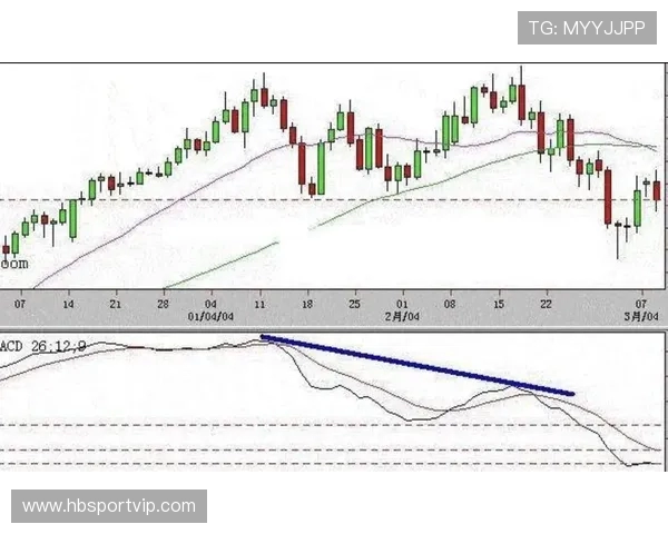 广州篮球队与上海篮球队赛后技术分析与战术复盘探讨